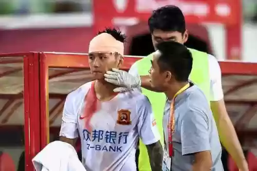 刘云阵容插图