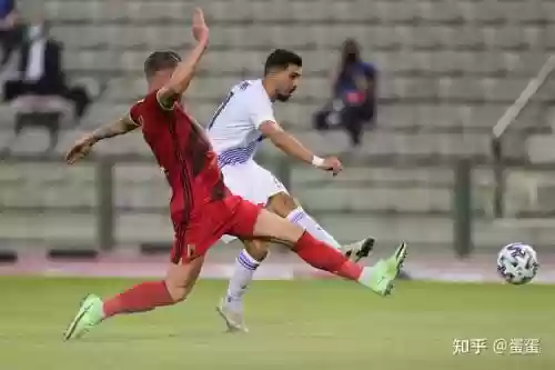 2014马其顿阵容
