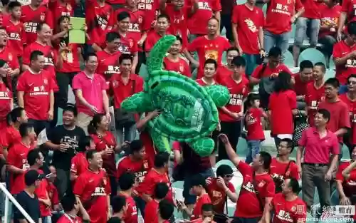 国安阵容乌龟
