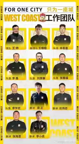 教练招牌阵容插图