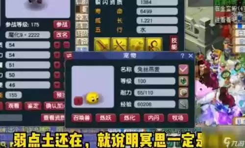 梦幻西游超级土地公公打什么书