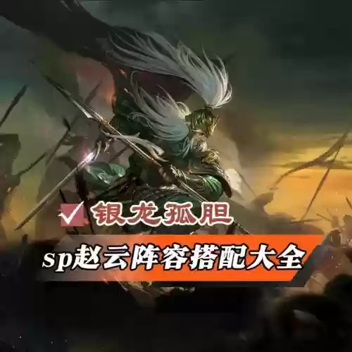 赵云叛军阵容
