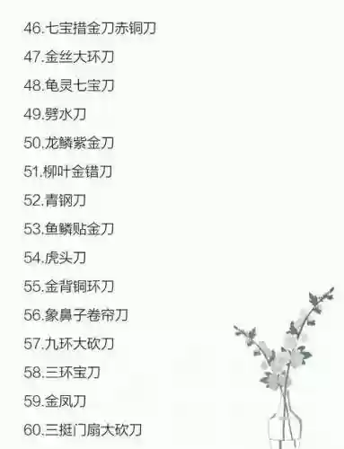 武器长名字插图