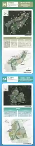 洋浦阵容规划