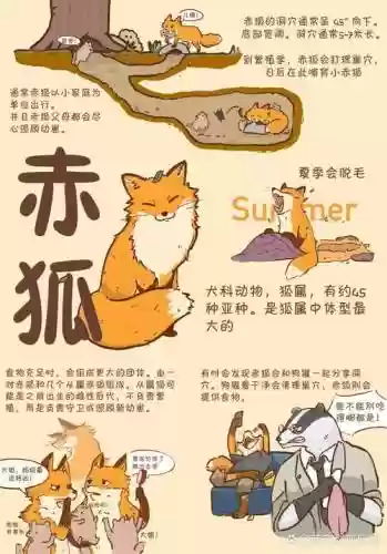 红狐狸逃脱攻略插图 红狐狸逃脱攻略插图