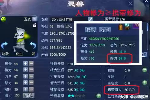 倩女灵兽技能类型