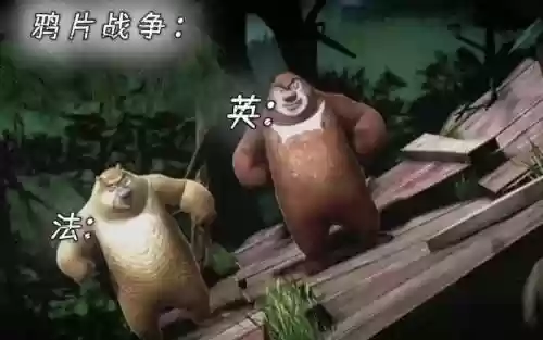 历史熊阵容