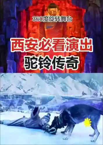 驼铃传奇阵容