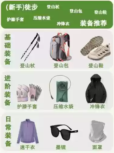 去森林需要什么装备插图