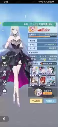 雪儿怎么搭配阵容插图