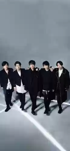 岚阵容搭配插图