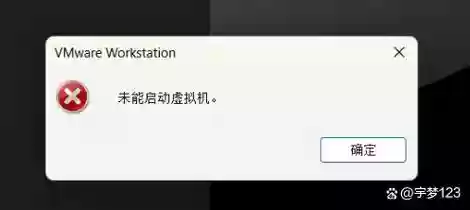 显示不支持语音技能模块插图