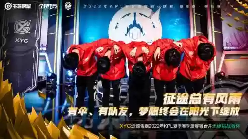 xyg擅长阵容