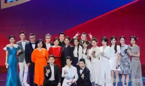 电视主流阵容