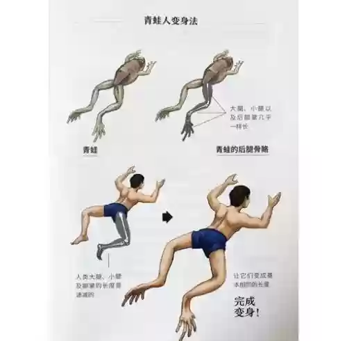 青娃的技能插图1
