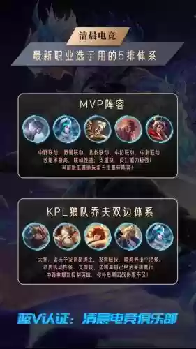 黑色王者阵容_1插图