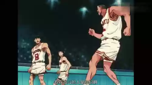 赤木怎么搭配阵容