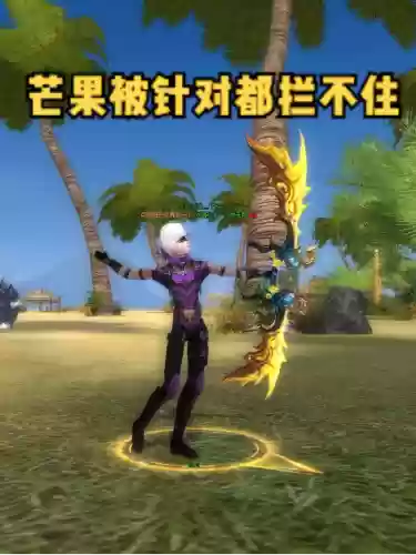 完美国际芒果武器选择