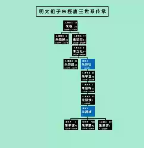 唐王阵容讲解