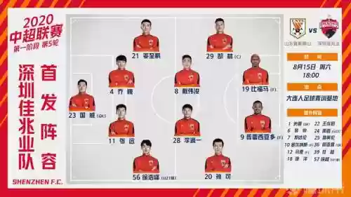 鲁能深圳阵容_1
