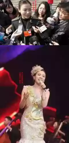 陈思思阵容插图