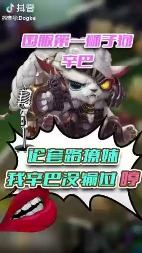 辛巴狮子狗装备插图