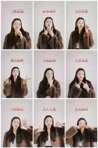 拍照阵容描写