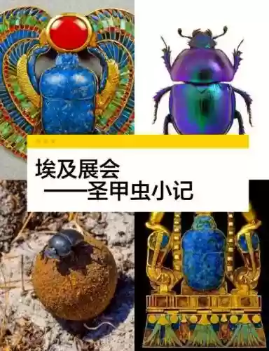 图腾部落黄金版图文攻略圣甲虫_1插图