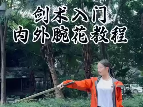 仗剑江湖行怎么学技能插图