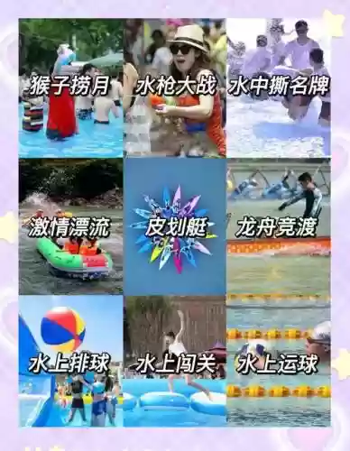 夏日海浪阵容插图