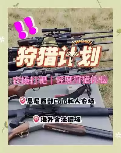 狩猎阵容2021