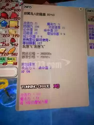 希望ol刺客装备