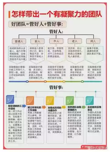 导管阵容搭配
