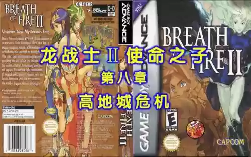 龙战士2武器屋插图