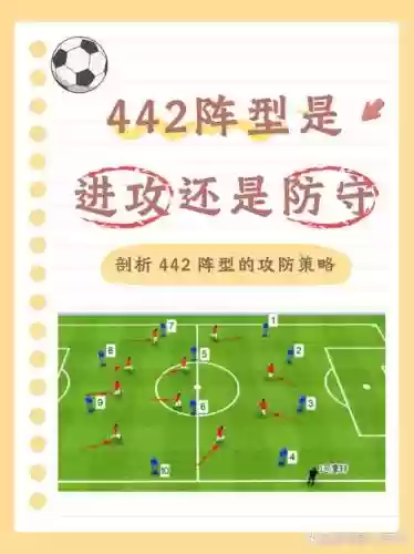 阵容和战术插图
