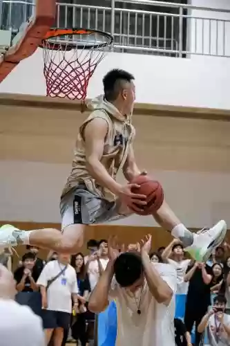 杨浩阵容插图