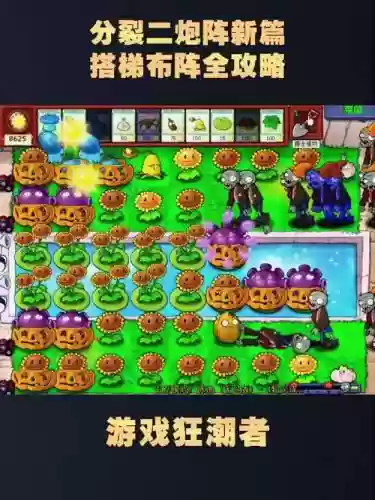 打梯子阵容插图