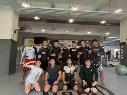 mma嘉宾阵容