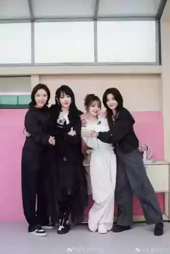 姐姐公演阵容插图