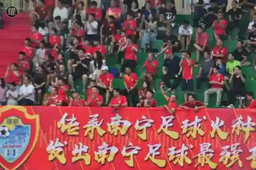 南宁者阵容