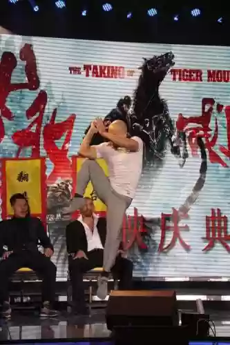 元武阵容插图