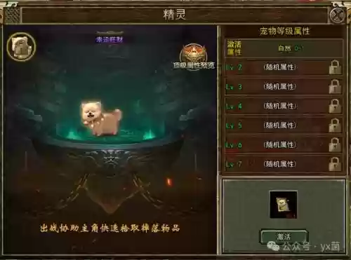 传奇世界宠物最强阵容搭配
