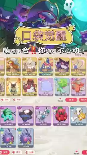 口袋觉醒刺客阵容推荐搭配插图
