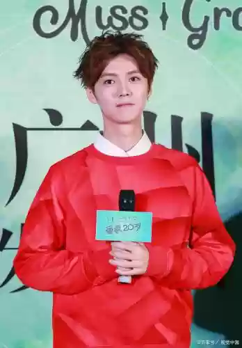 综艺之王鹿晗攻略
