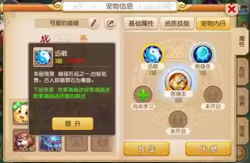 梦幻西游在哪增加宠物寿命插图