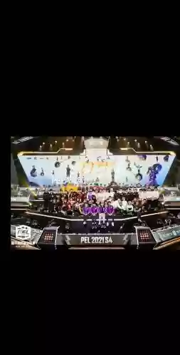 pel职业阵容