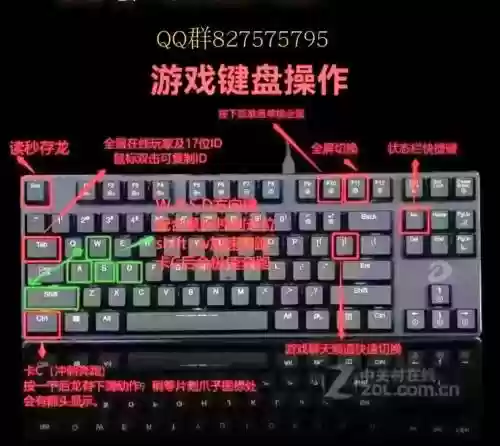 steam按键攻略插图
