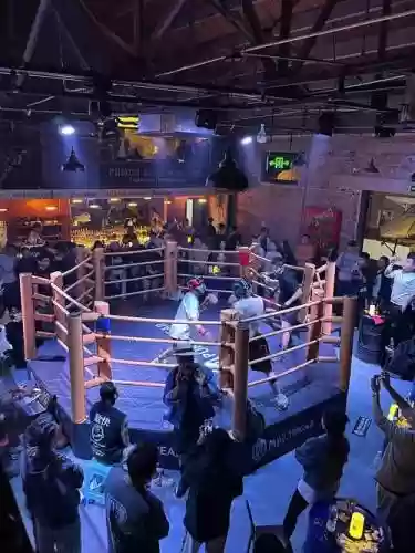 打馆长阵容