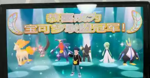 口袋妖怪明亮珍珠阵容搭配插图
