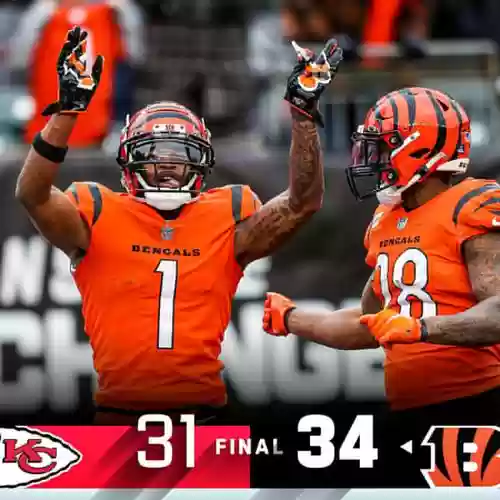 nfl猛虎阵容_1